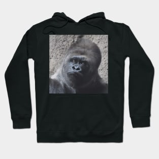 Western Lowland Gorilla Hoodie